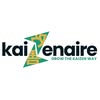 Kaizenaire