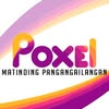 Poxel Graphics and Apparel