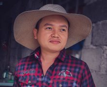 French Mirth F. Cobertas